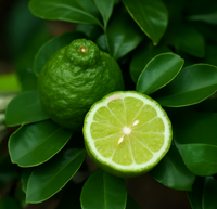 citrusy
