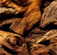 Woody/ Earthy