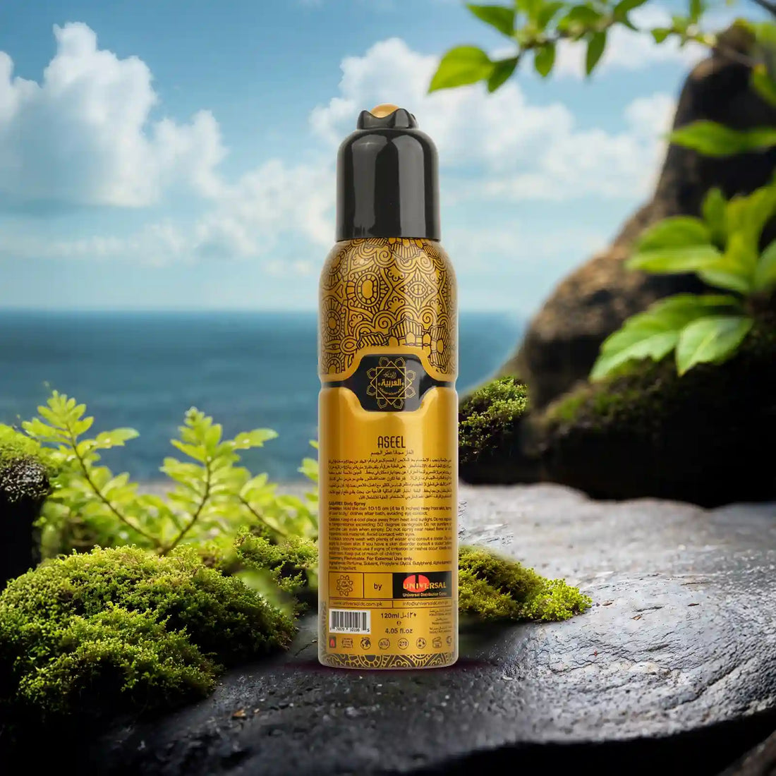 “Al Arabia Aseel Body Spray 120ml — Back-facing body spray bottle shown in a clean product display