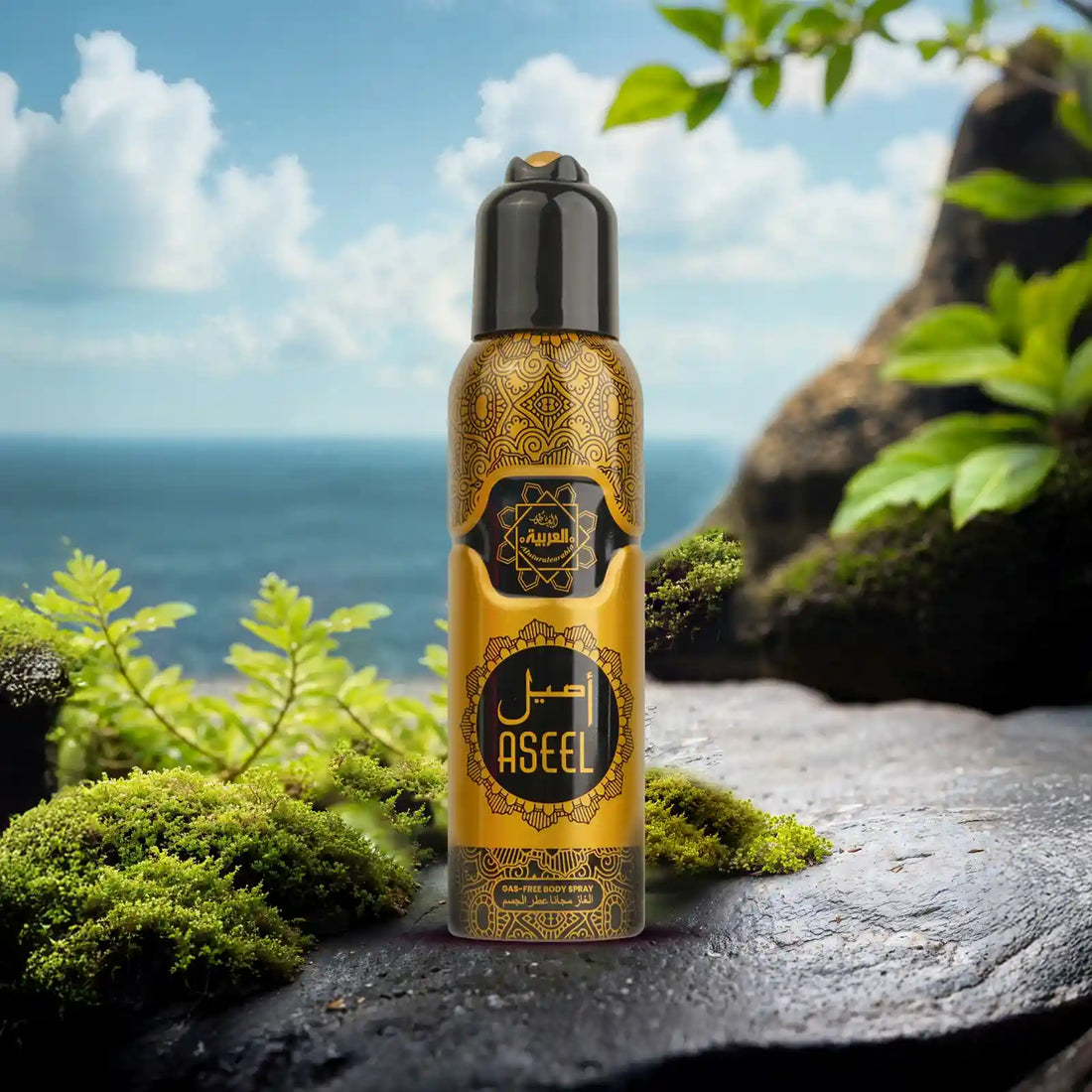“Al Arabia Aseel Body Spray 120ml — front-facing body spray bottle shown in a clean product display