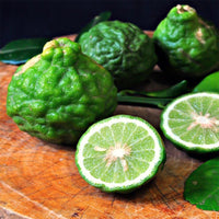 Bergamot