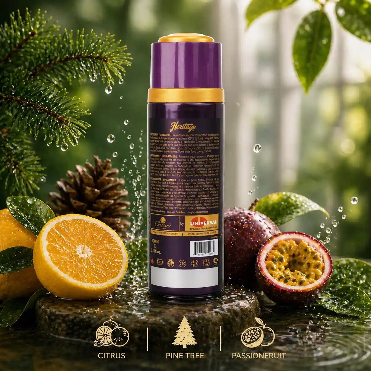 Heritage Classic body spray Back label details ingredients and safety instructions tropical beach setting 200ml aerosol can