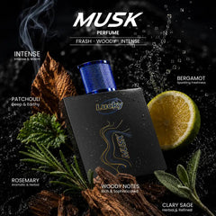 Lucky Musk 100ml Fragrance - theBigBossstore.com